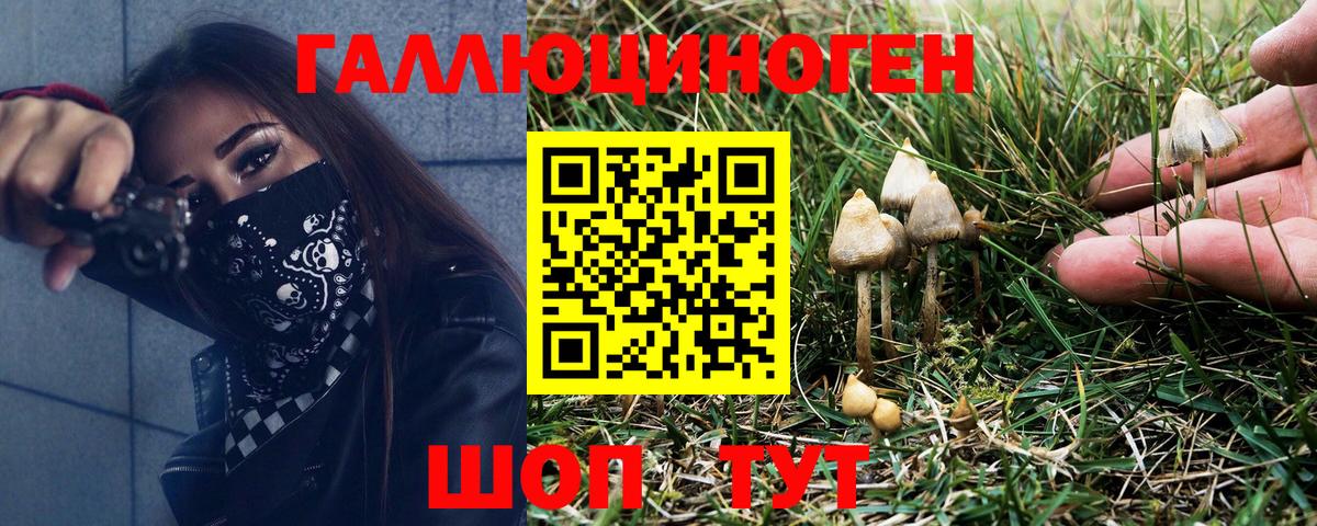 Полевской  Псилоцибиновые грибы мухоморы  Вход с VPN 